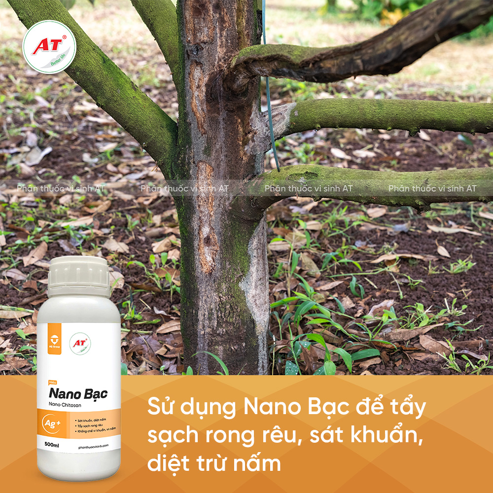 Nano Bạc - Thuốc tẩy rong rêu, sát khuẩn, diệt nấm tận gốc 3 Nano Bac sat khuan diet tru nam