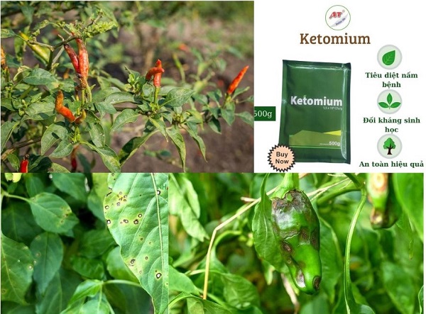 benh-than-thu-tren-ot