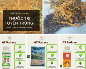 thuoc-tri-tuyen-trung