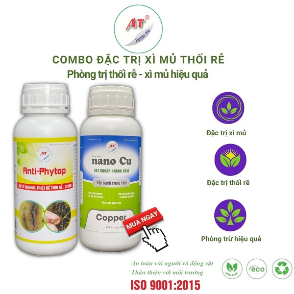 thuoc-tri-xi-mu-at-anti-phytop