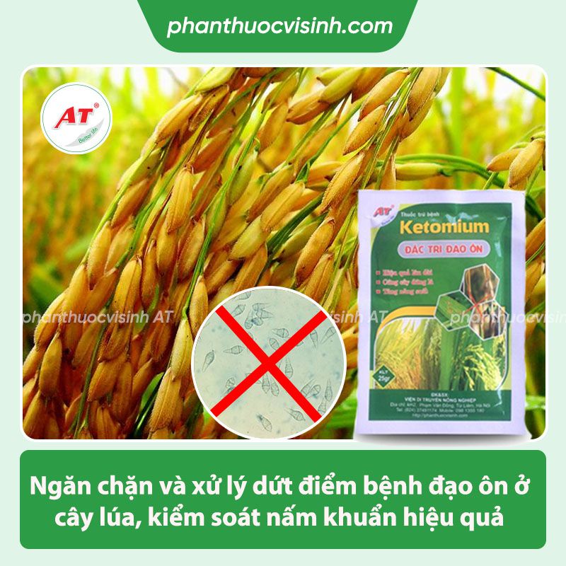 Thuốc trị đạo ôn lúa Ketomium 25g hiệu quả, an toàn, giá tốt