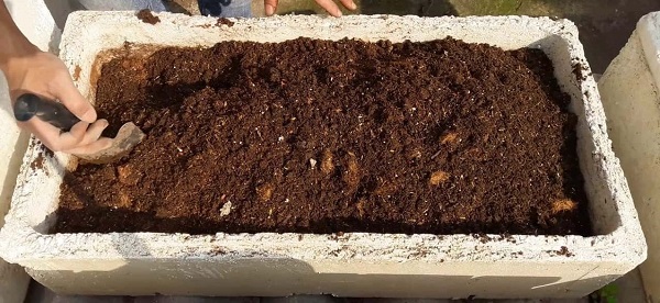 ky-thuat-trong-cai-ngot