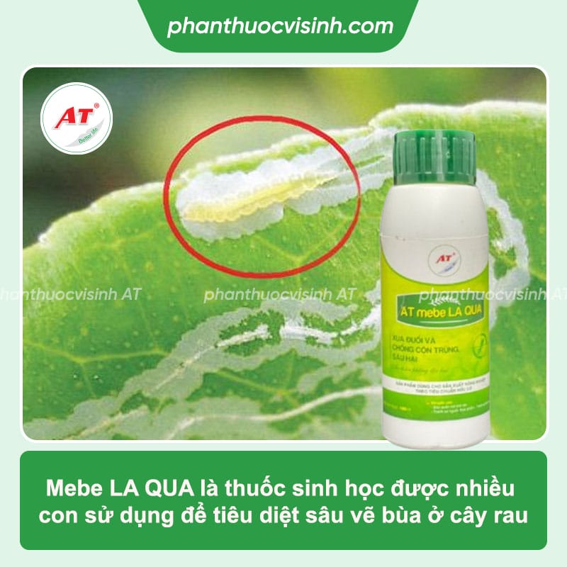 Sâu vẽ bùa trên rau: Nguyên nhân xuất hiện và cách trị dứt điểm 4 Sâu vẽ bùa trên rau: Nguyên nhân xuất hiện và cách trị dứt điểm