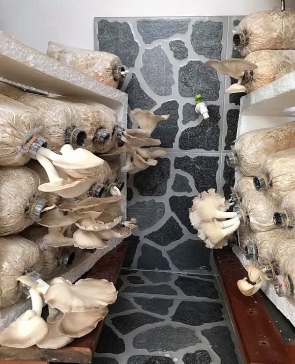 tu-trong-nam-bao-ngu-tai-nha