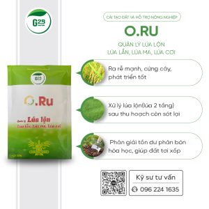 G2B Oru 225g 1