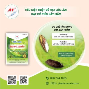 ads fb 04