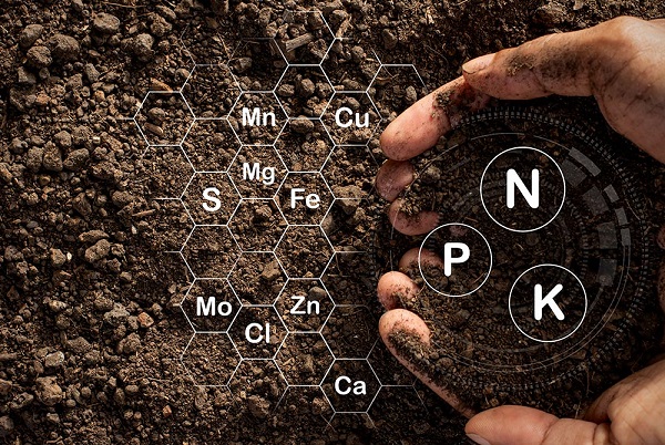 cach-cai-tao-dat-chua