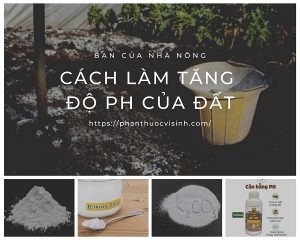 cach-lam-tang-do-ph-cua-dat