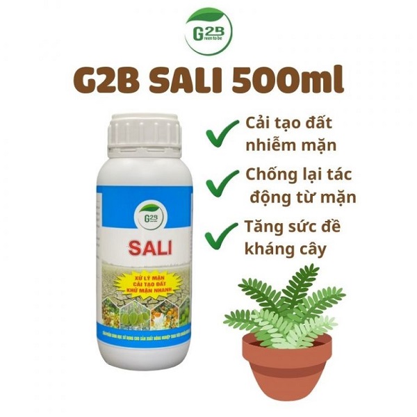 cai-tao-dat-man