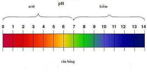 do-ph-la-gi