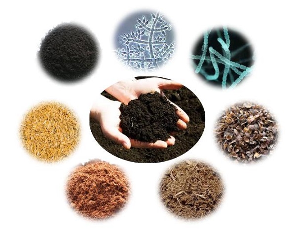 Phân hữu cơ là gì và những điều có thể bạn chưa biết 2 phan-huu-co-gom-nhung-loai-nao