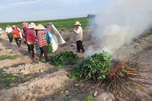 quy-trinh-phong-tru-benh-kham-la-san