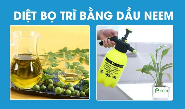 tri-bo-tri-bang-dau-neem
