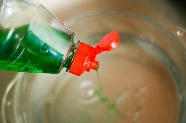 Hướng dẫn chi tiết cách trị bọ trĩ hoa hồng bằng nước rửa chén 5 tri-bo-tri-bang-nuoc-rua-chen