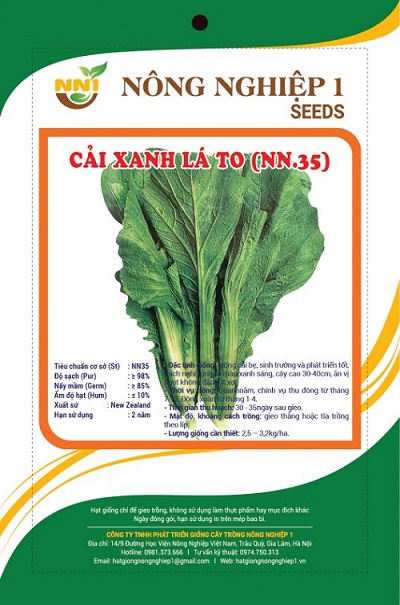 hat-giong-cai-be-xanh