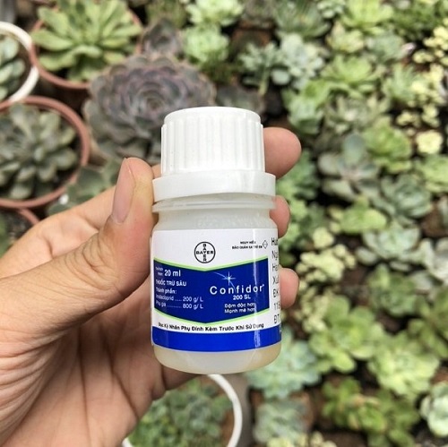 thuoc-diet-ray-phan-trang