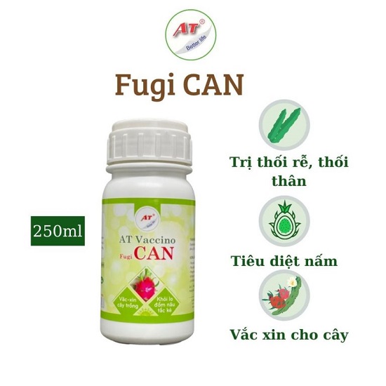 thuoc-tri-benh-dom-trang-thanh-long