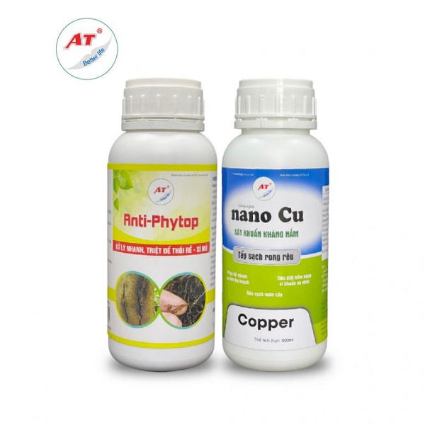 cach-chua-muop-bi-vang-la