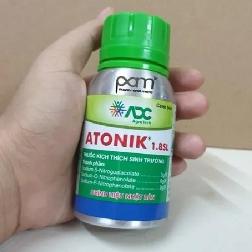 Top 5 loại thuốc kích rễ cây mai tốt nhất, được bà con tin dùng 6 thuoc-kich-re-cay-mai