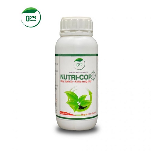 thuoc-kich-thich-re-cay-mai