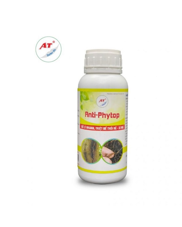 cach-cuu-cay-mai-bi-ung-nuoc