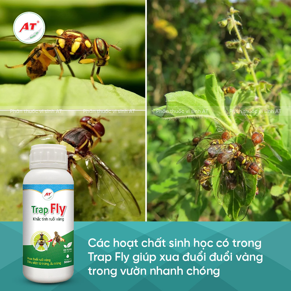 Trap Fly xua duổi ruồi vàng