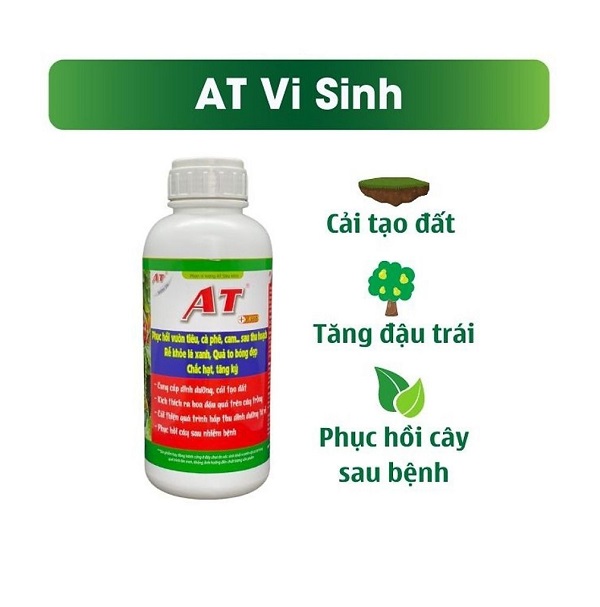 at-vi-sinh