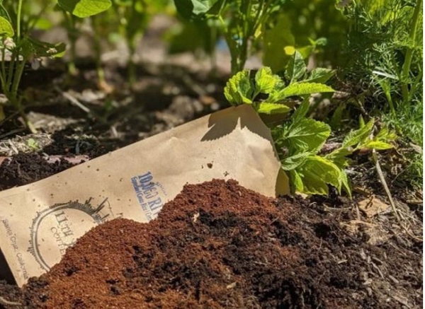 bon-cay-bang-ba-ca-phe