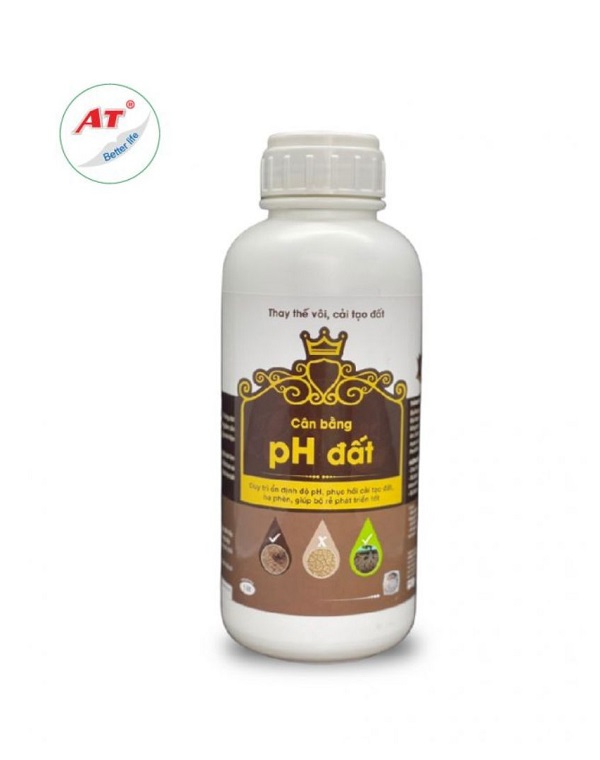 cach-khac-phuc-dat-kiem