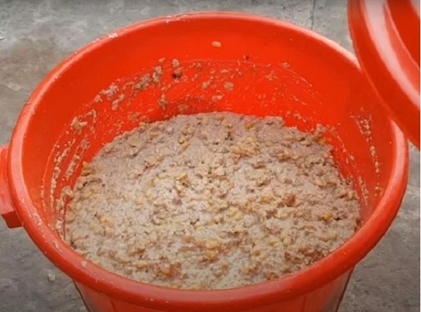 cach-lam-phan-bon-tu-ba-dau-nanh