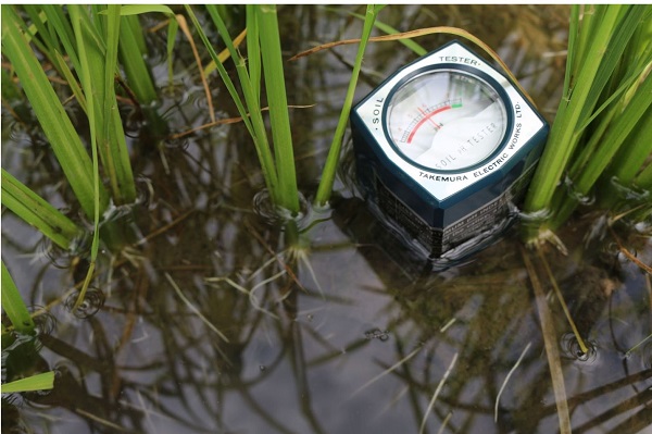 cach-nhan-biet-dat-kiem