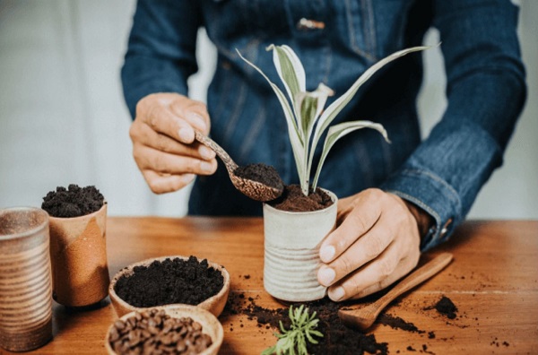 cach-su-dung-ba-ca-phe-bon-cay