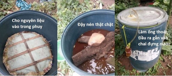 cach-u-phan-ca-khong-mui