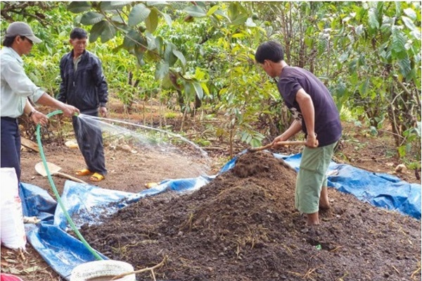 cach-u-phan-chuong-voi-trichoderma