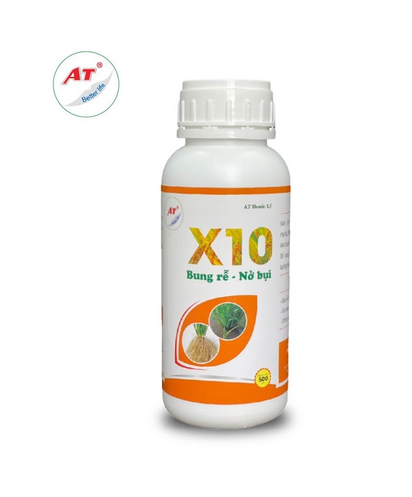 che-pham-bon-thuc-lua-de-nhanh