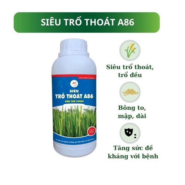 phan-bon-don-dong-cho-lua