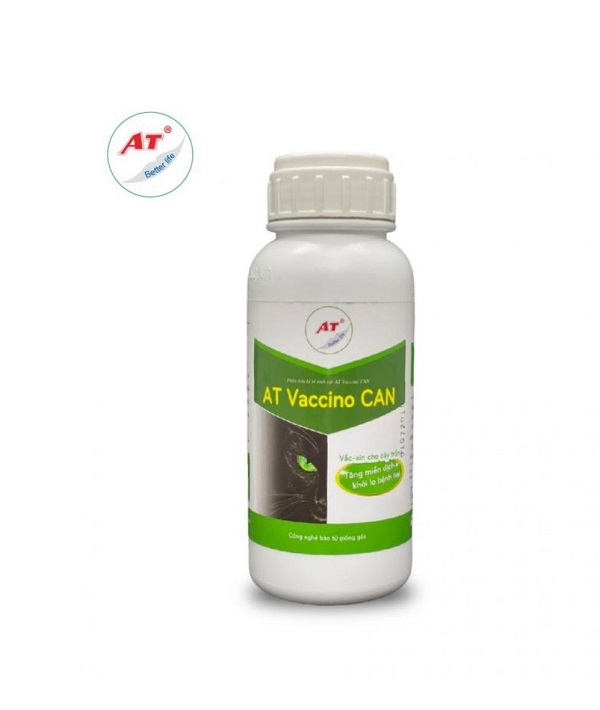 thuoc-cuu-cay-huong-thao-bi-heo