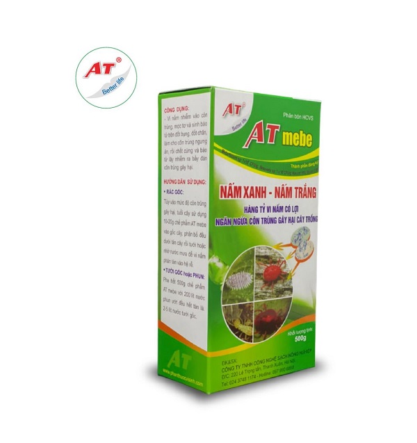 thuoc-tri-xoan-la-rau-hung-que