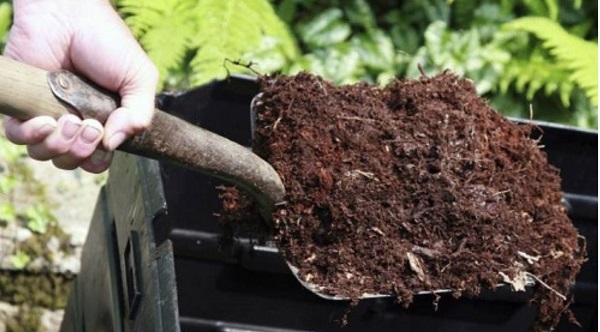 u-phan-chuong-voi-trichoderma