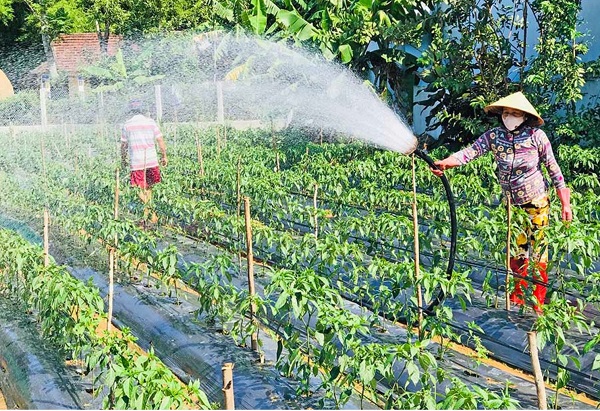 cach-tuoi-nuoc-cho-ot