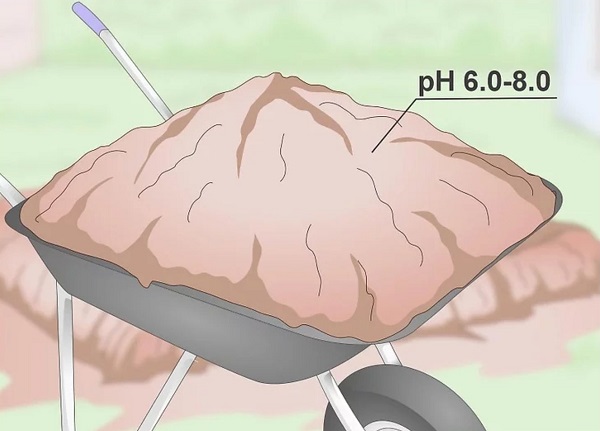 chuan-bi-dat-trong-ngo-ri