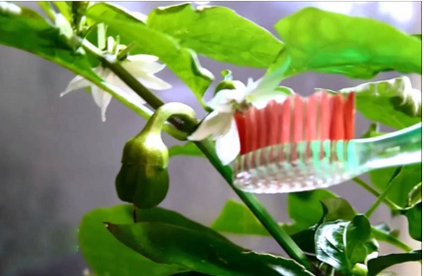 thu-phan-thu-cong-hoa-ot