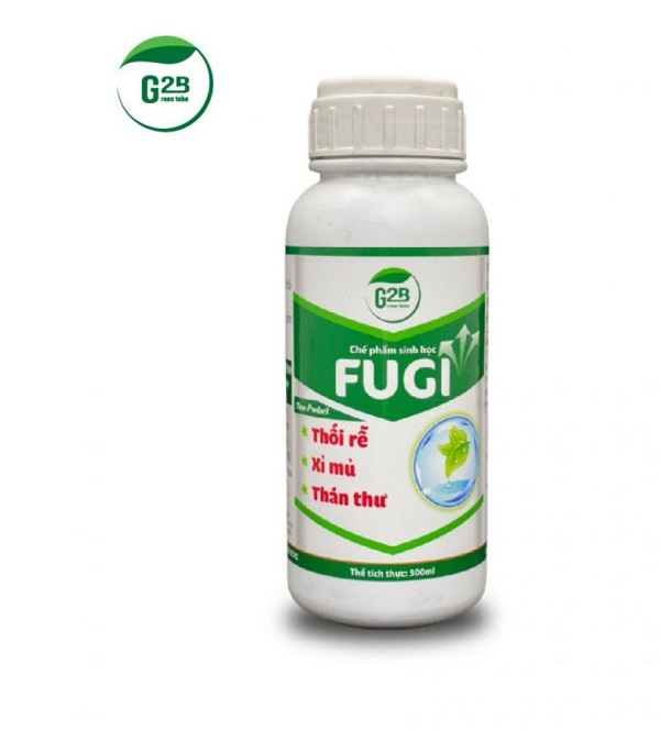 thuoc-tri-benh-thoi-trai-ot