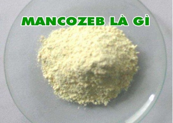 hoat-chat-mancozeb-la-gi