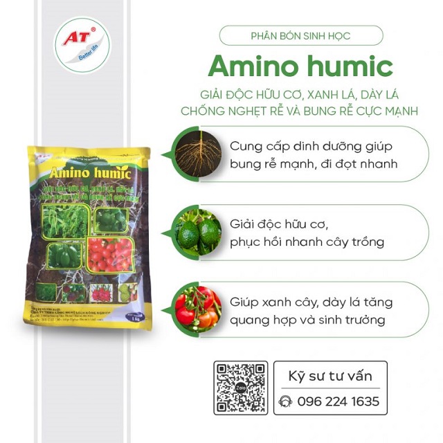 Amino Humic giúp cây ra rễ Amino Humic giúp cây ra rễ