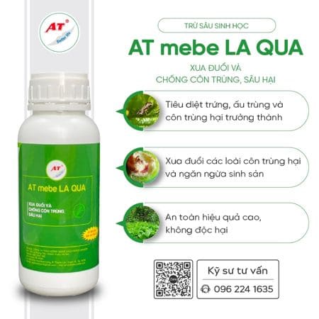 AT mebe LA QUA đặc trị bệnh đốm lá tận gốc AT mebe LA QUA đặc trị bệnh đốm lá tận gốc