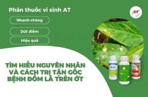 Bệnh đốm lá trên ớt: Nguyên nhân và cách khắc phục
