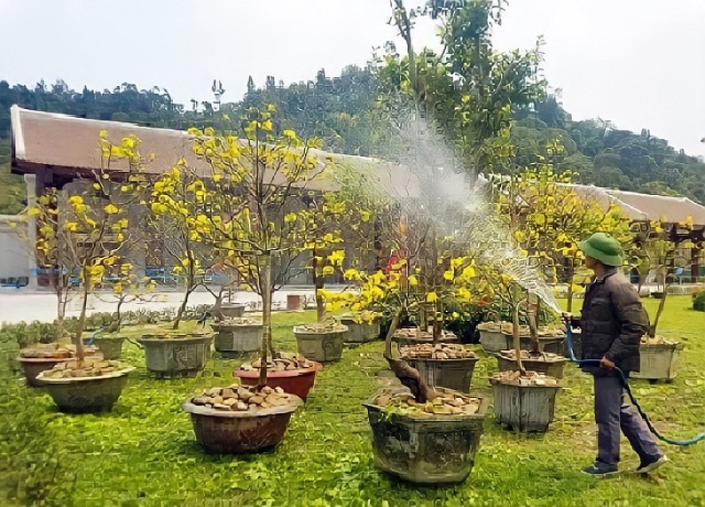 Tưới tiêu hợp lý