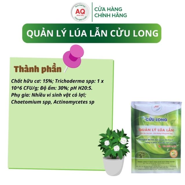 Thành phần 