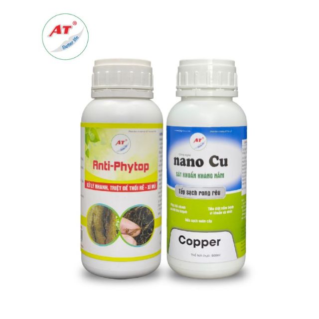 Xử lý nứt thân xì mủ theo chuyên gia